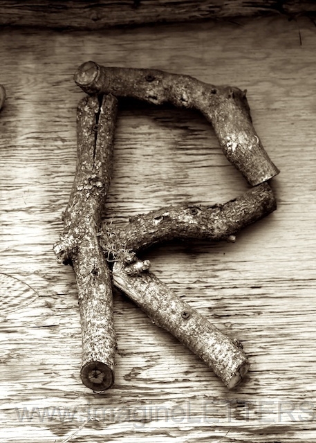 Wall_Art_Alphabet_Photography_Art_ 1918.jpg